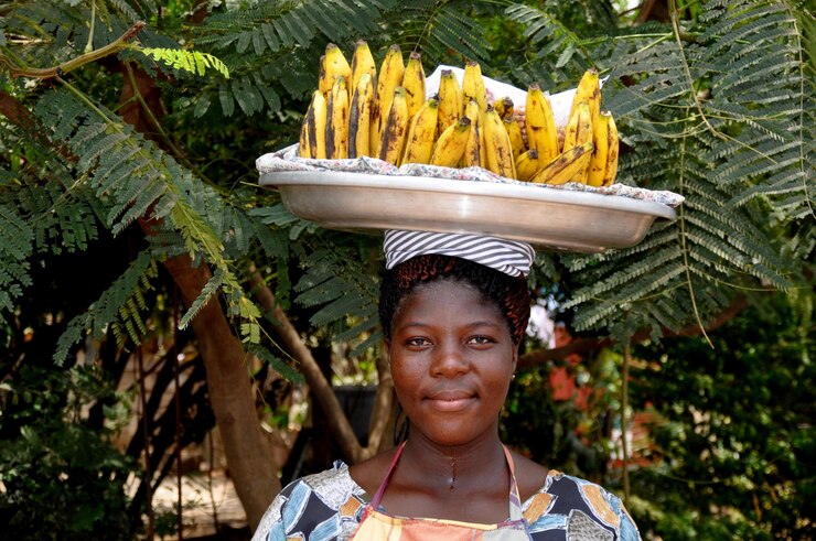 Sustainable Farming Practices for Banana Production