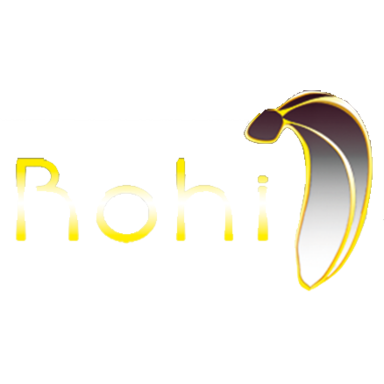 ROHI COMPANY LIMITED MBEYA